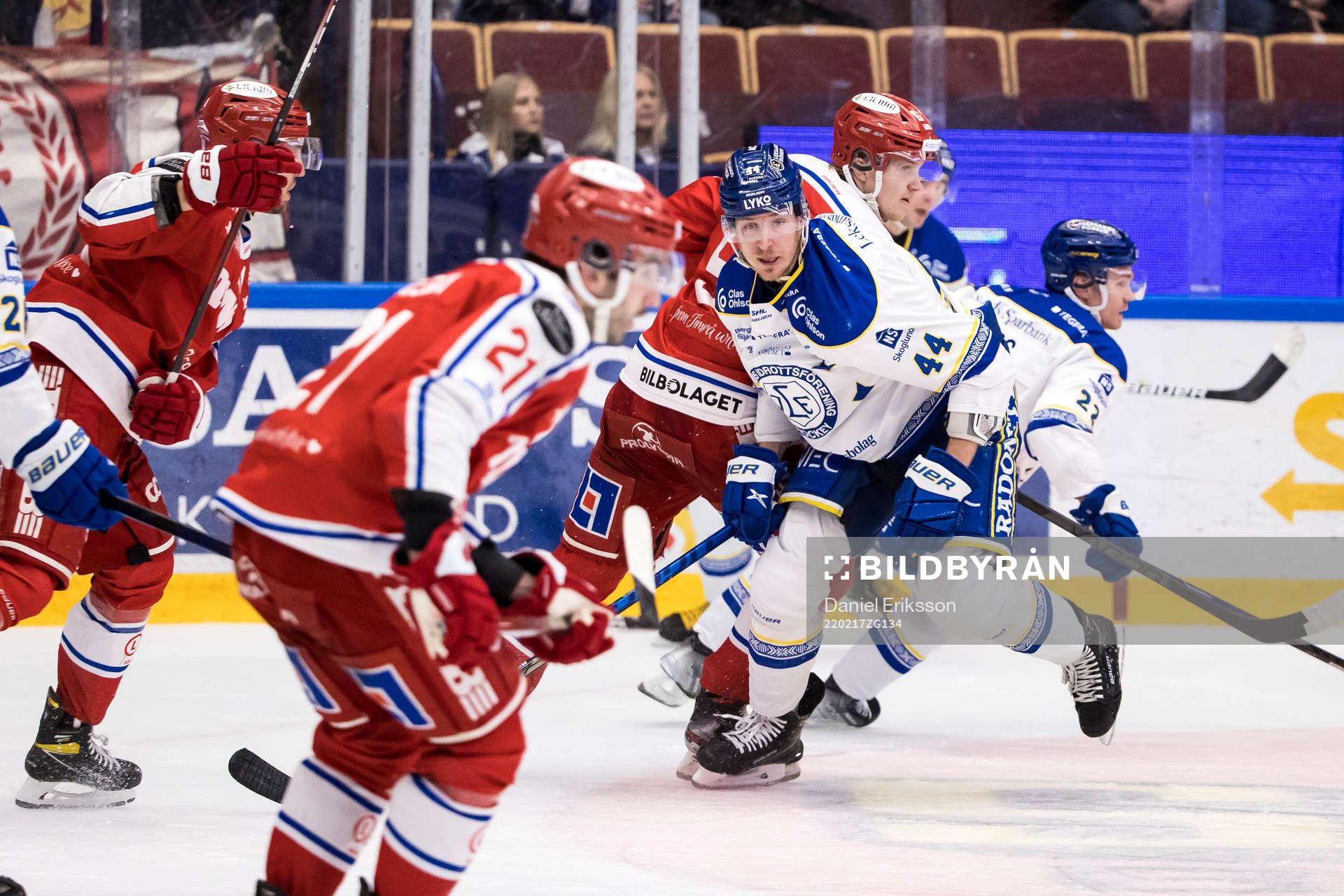 Leksands Carter Ashton