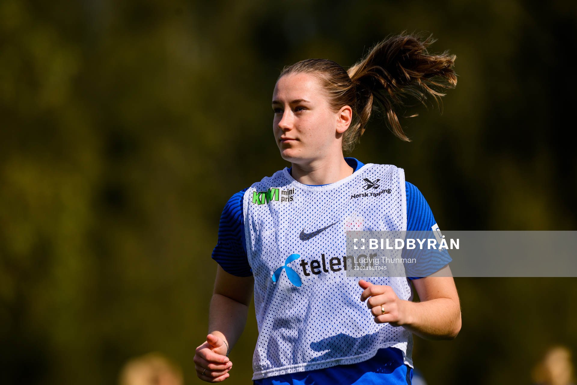 Elisabeth Terland