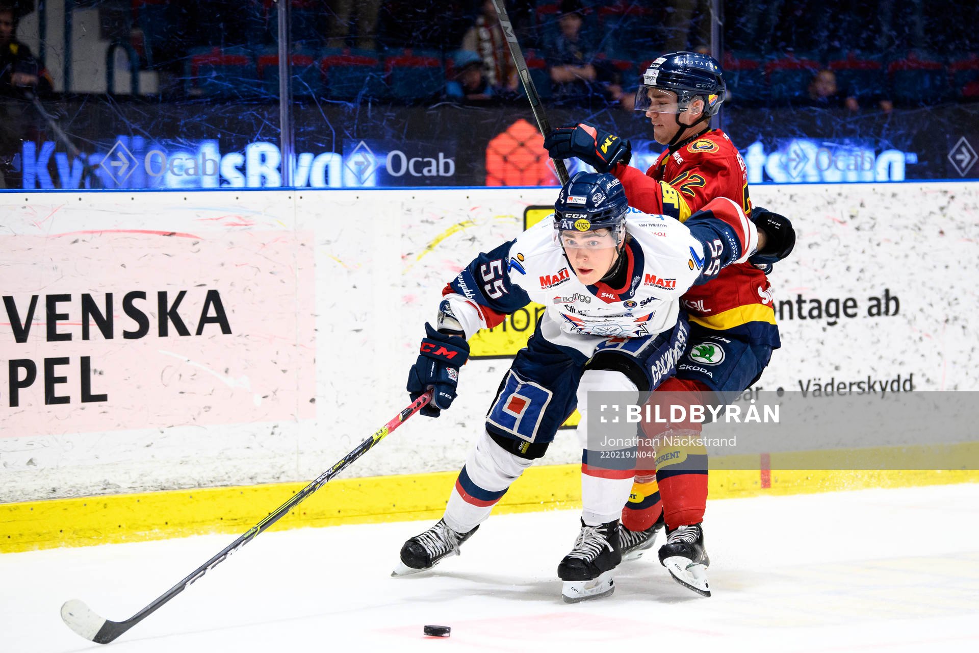 Linköpings Max Lindroth och Djurgårdens Ludvig Hedström