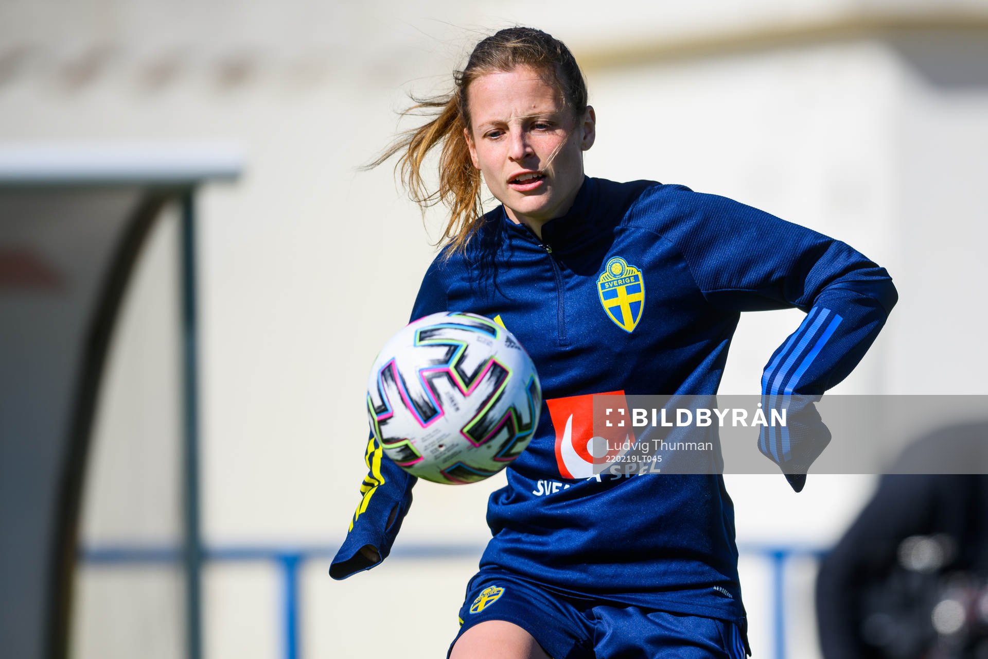 Anna Anvegård