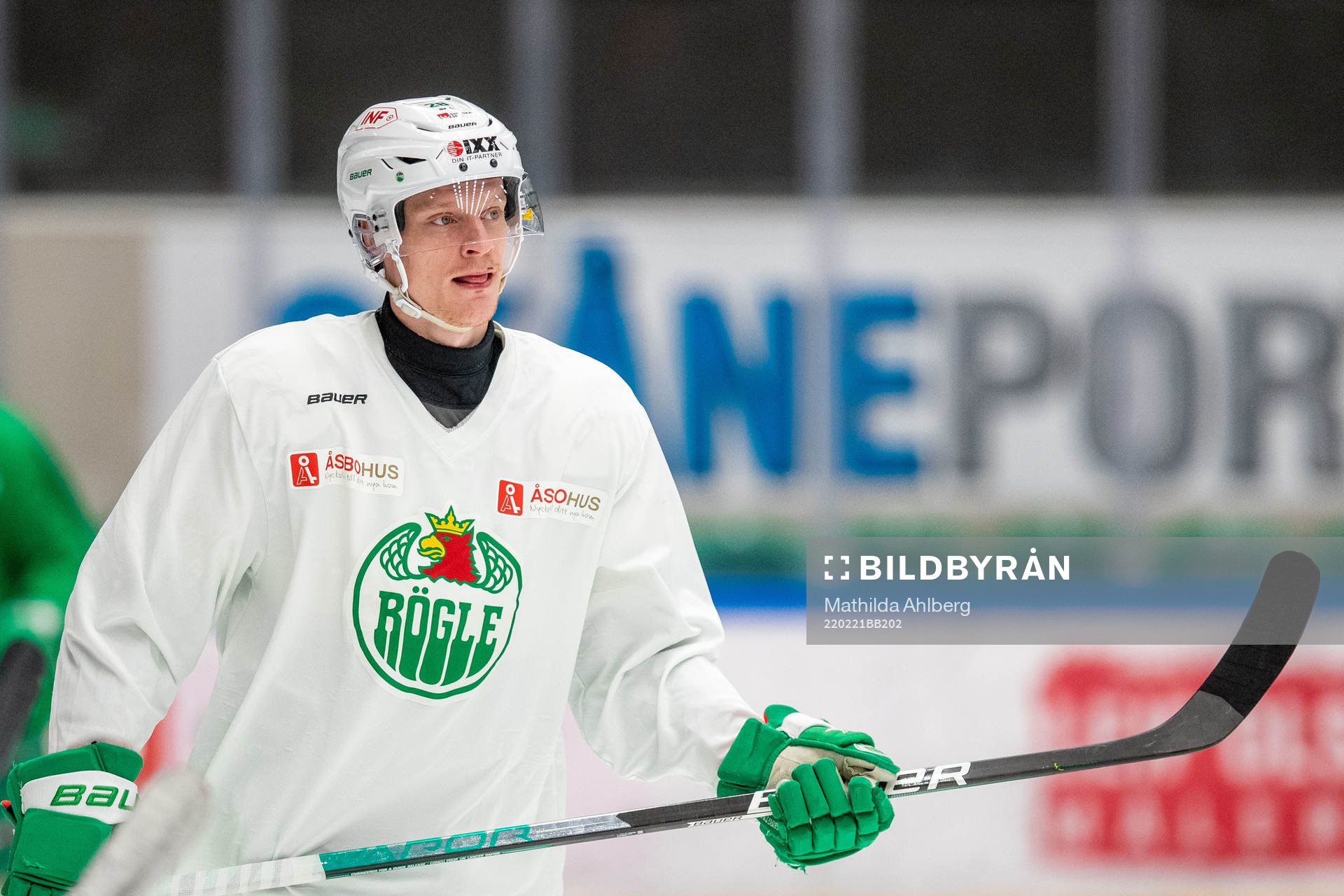 Anton Bengtsson