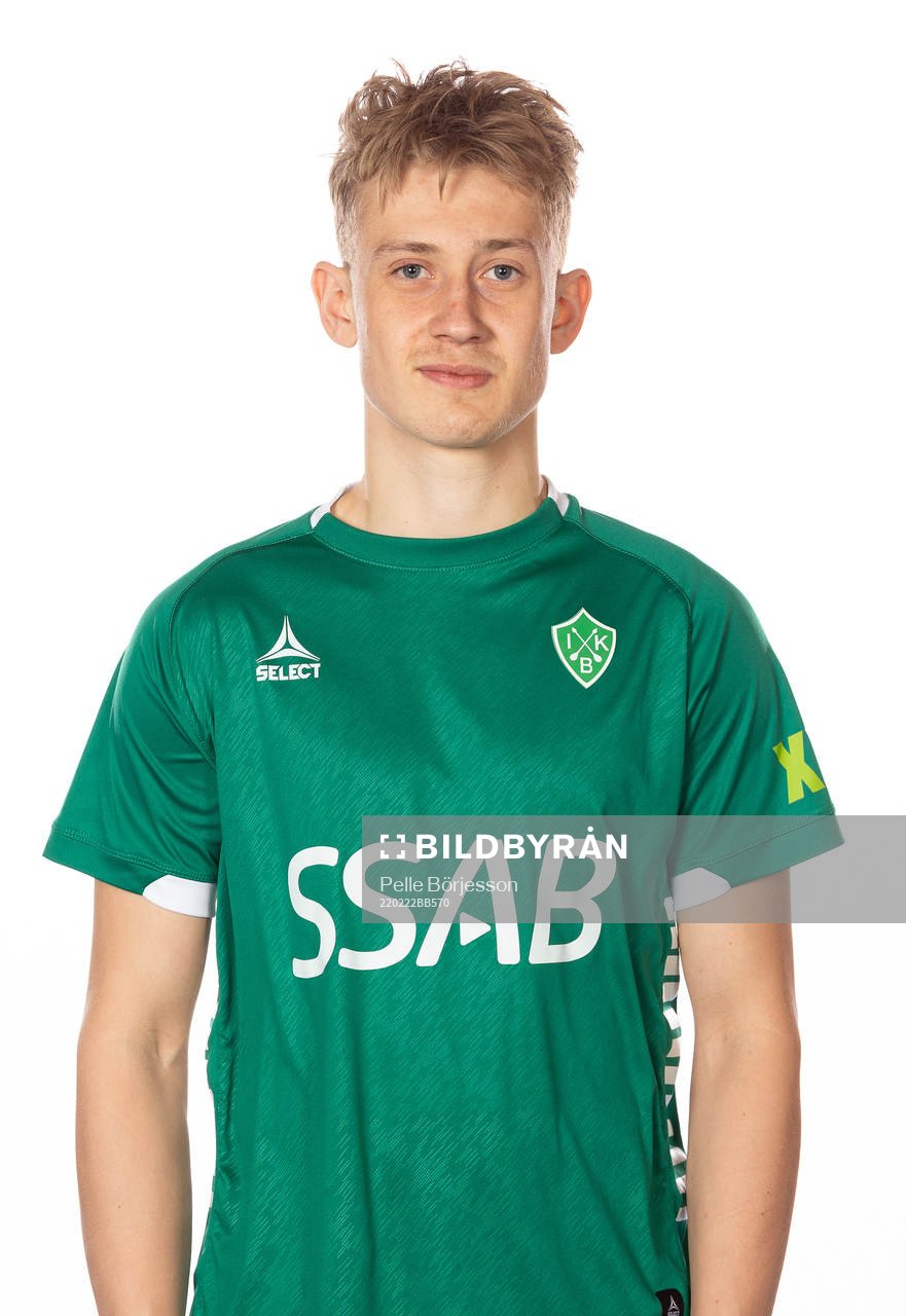 Brages Henry Sletsjøe