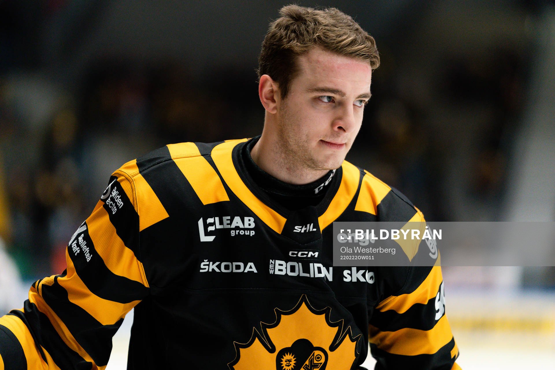 Skellefteås Stefan Loibl
