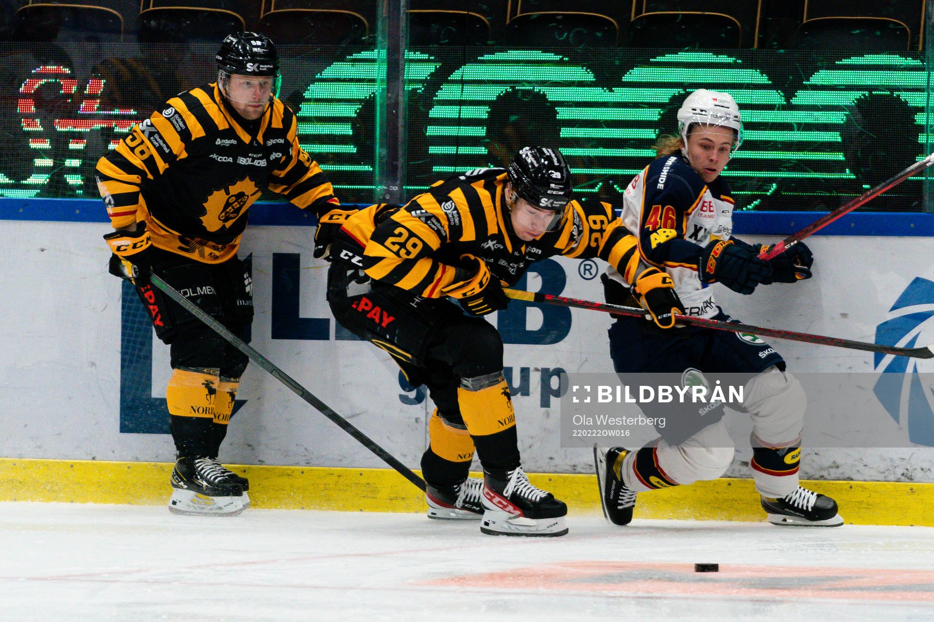 Skellefteås Oskar Nilsson, Albin Sundsvik