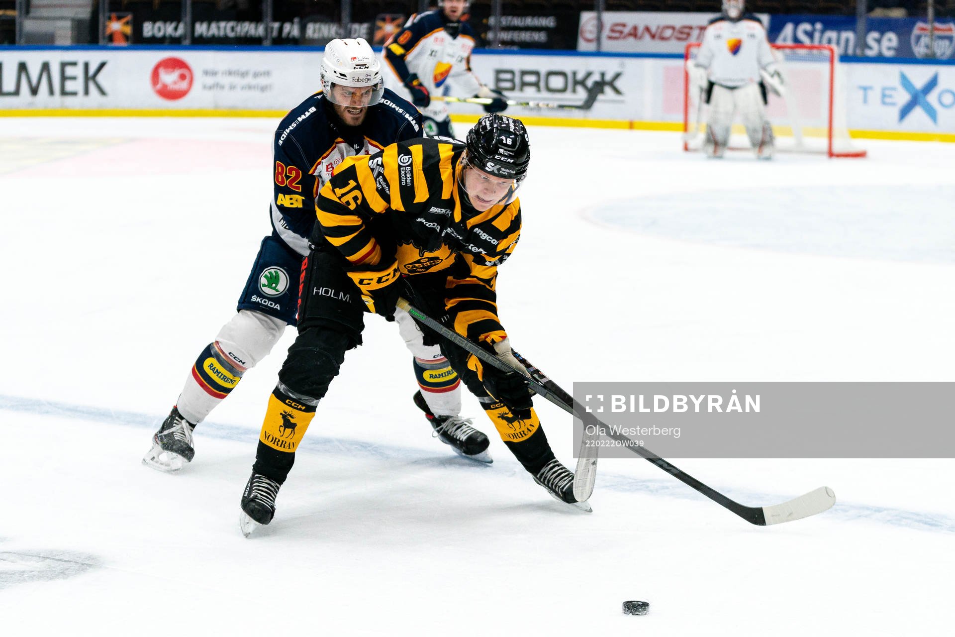 Djurgårdens Paul Carey och Skellefteås Linus Lindström