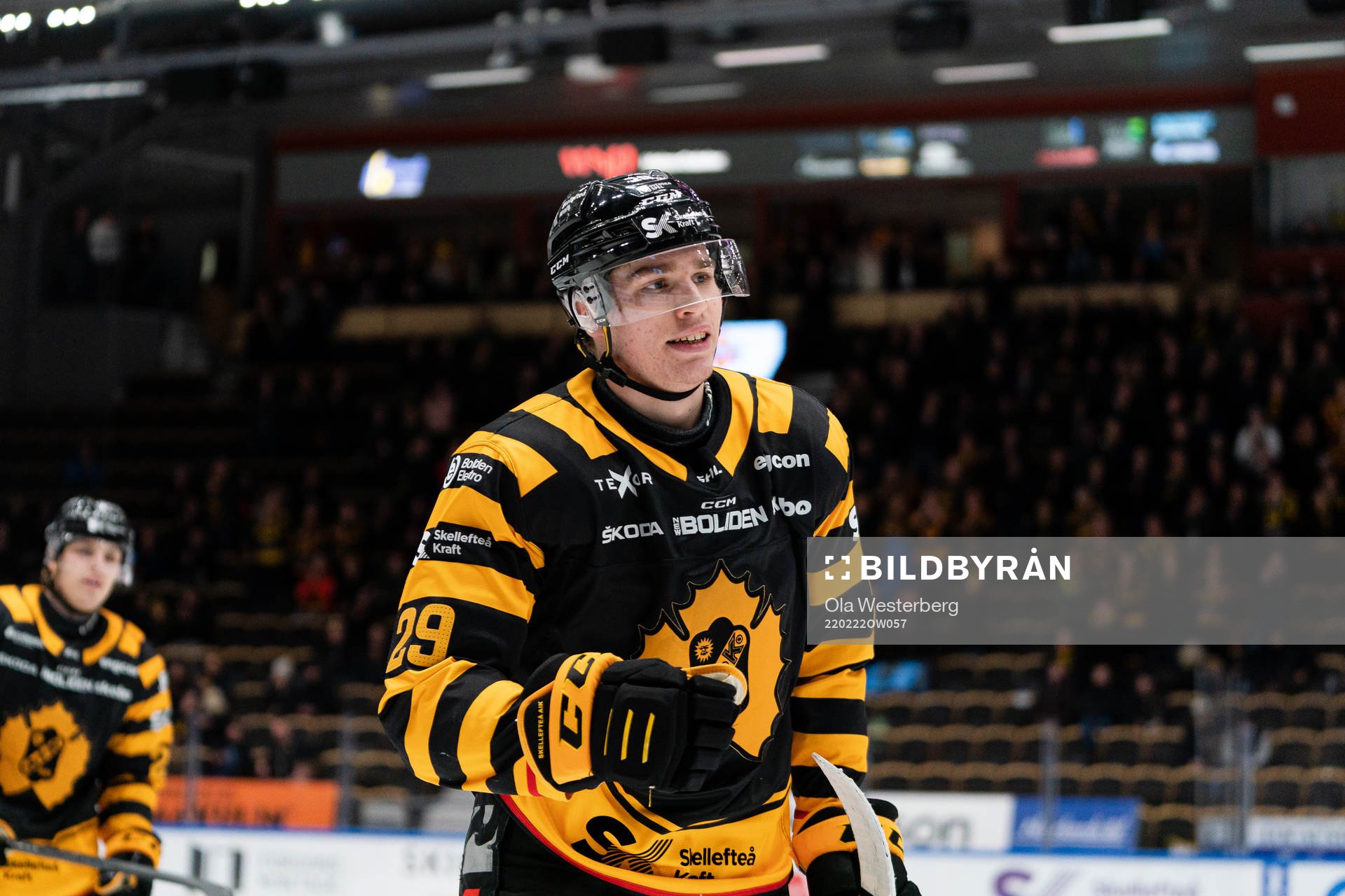 Skellefteås Albin Sundsvik jublar