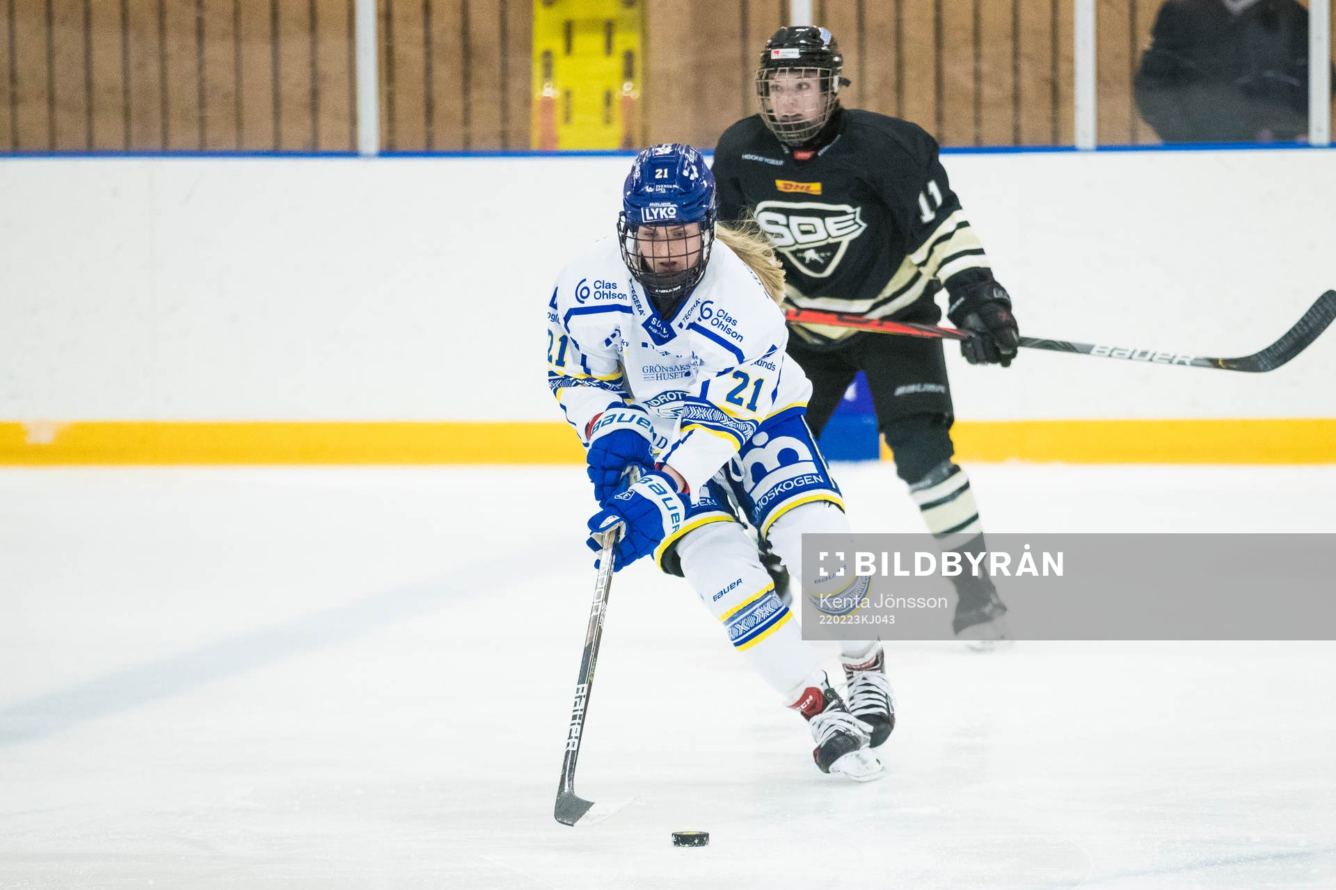 Leksands Tereza Vanisova