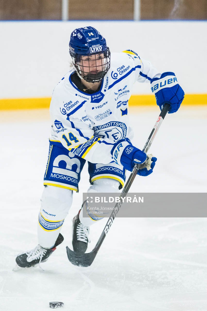Leksands Payge Pena