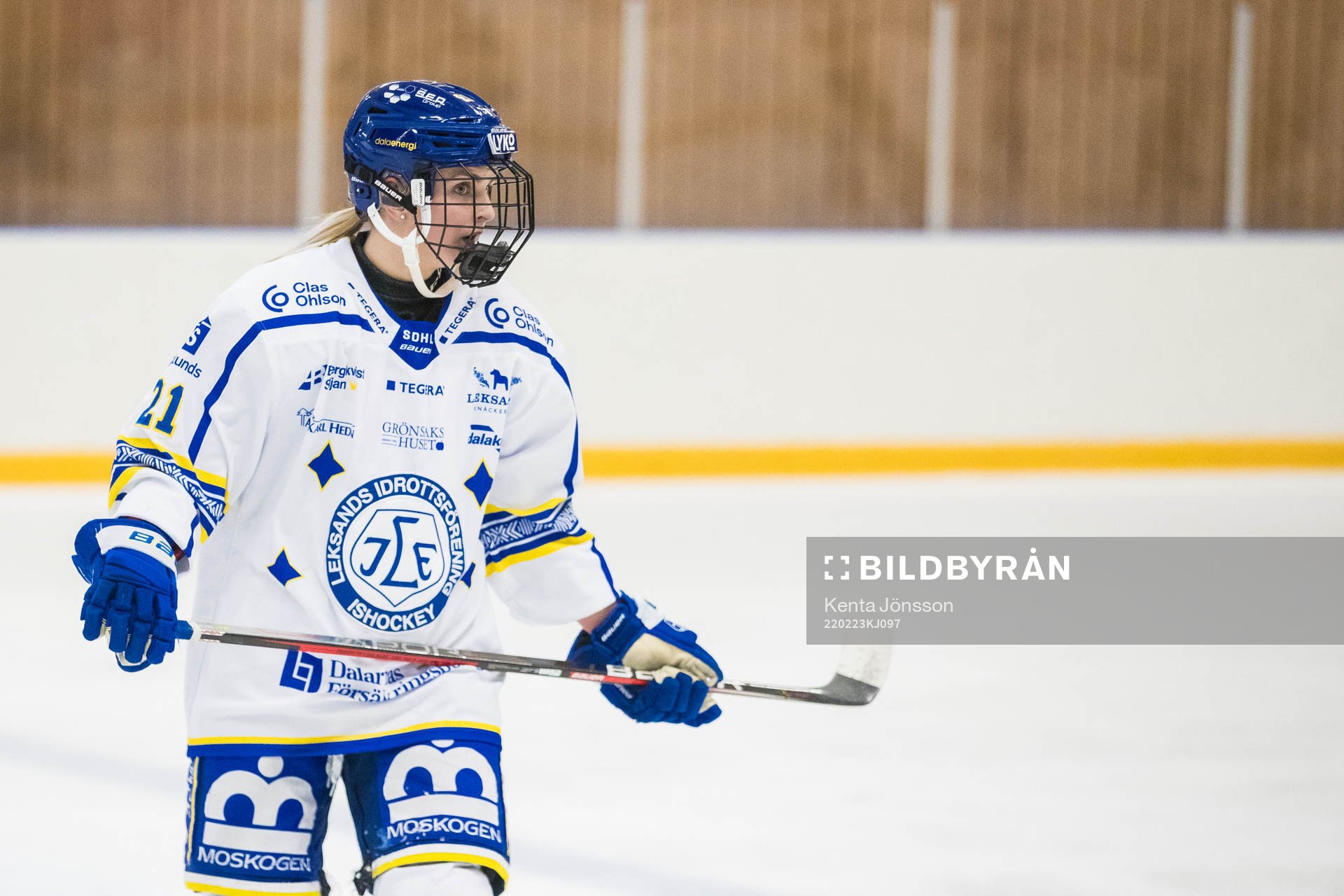 Leksands Tereza Vanisova