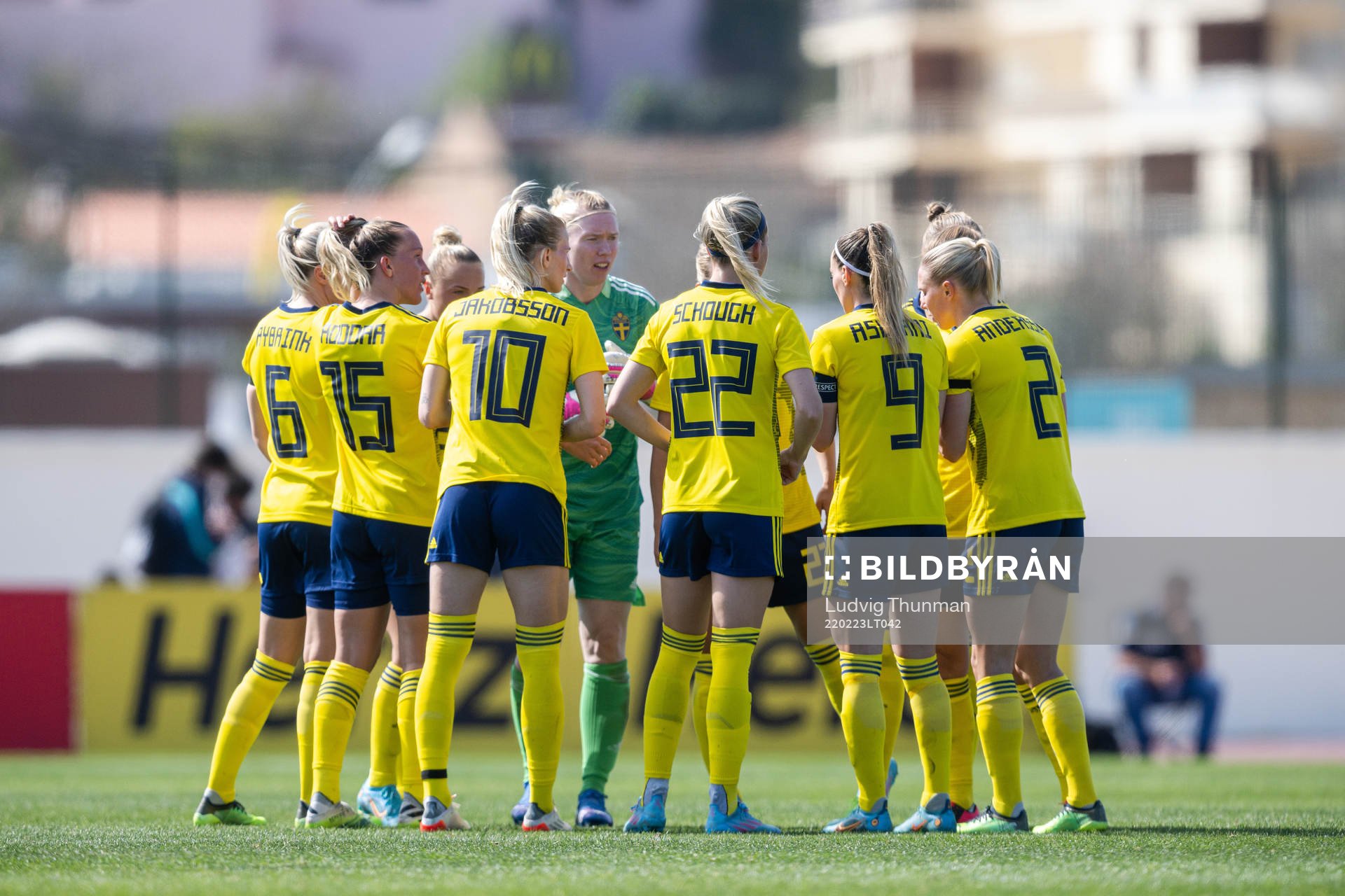 Players of Sweden