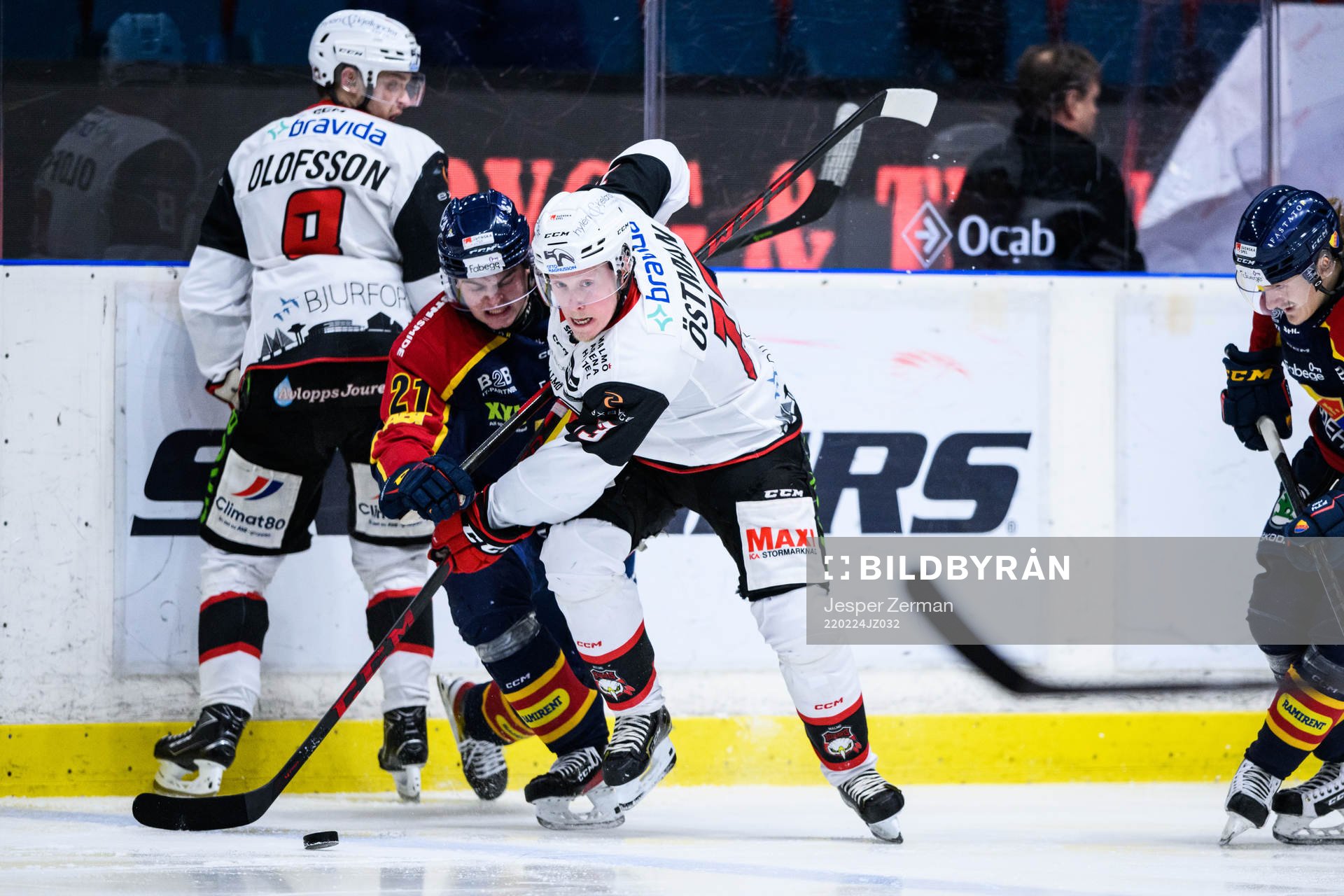 Djurgårdens Filip Cederqvist och Malmö Redhawks Kalle
