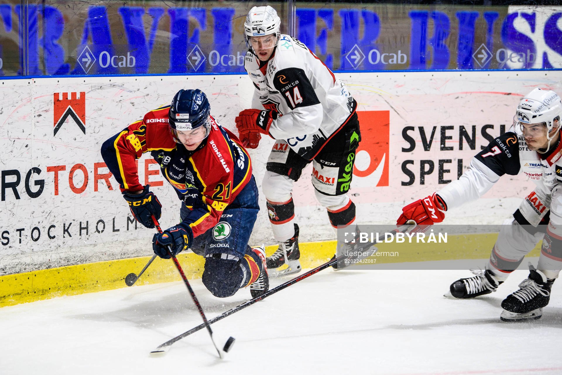 Djurgårdens Filip Cederqvist mot Malmö Redhawks