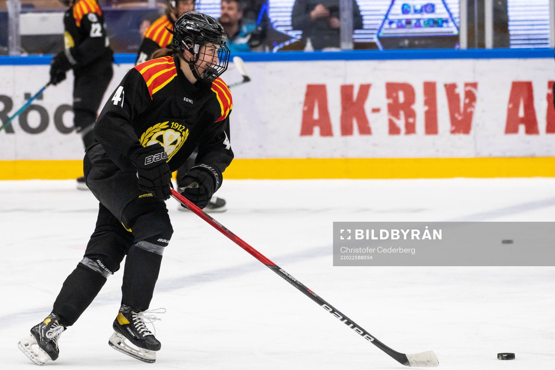 Brynäs Denisa Krizova
