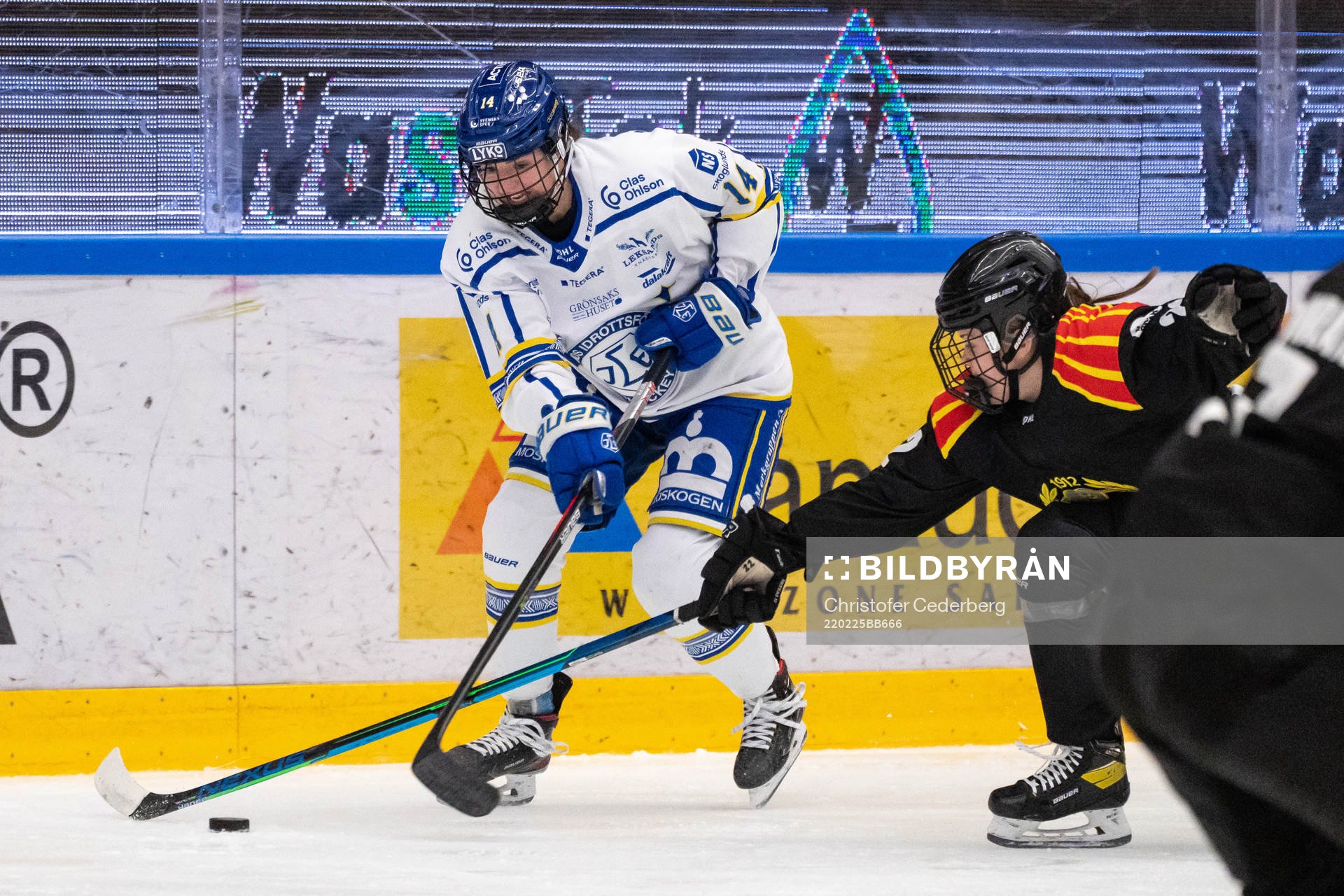 Leksands Payge Pena