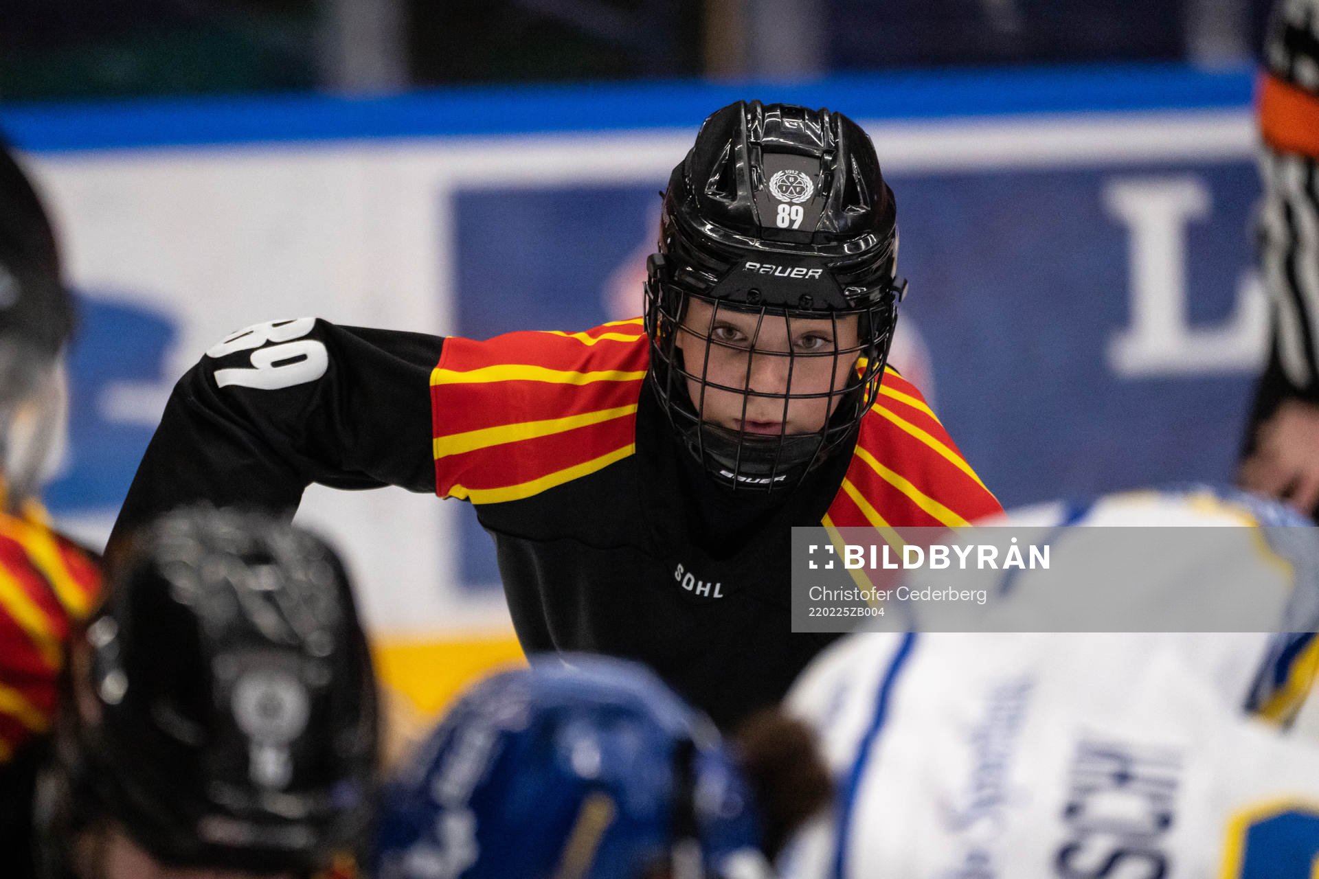 Brynäs Stella Lindell