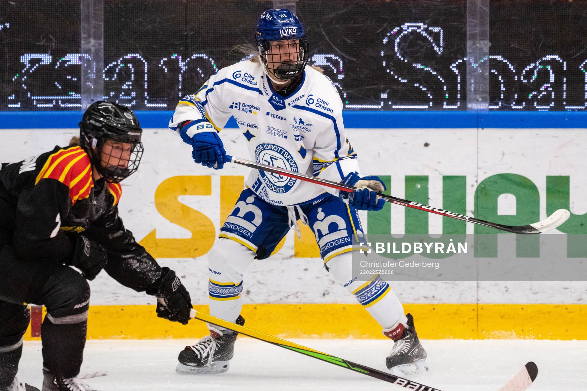 Leksands Tereza Vanisova