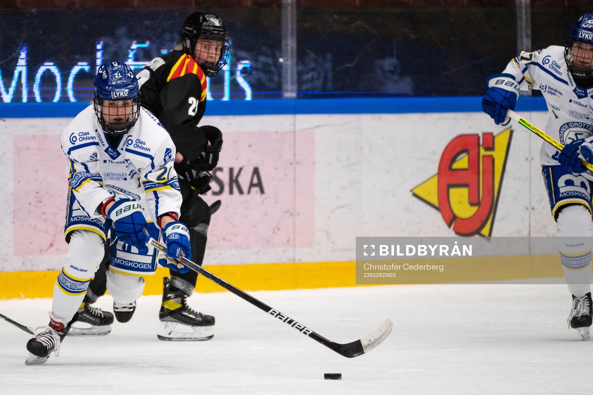 Leksands Tereza Vanisova