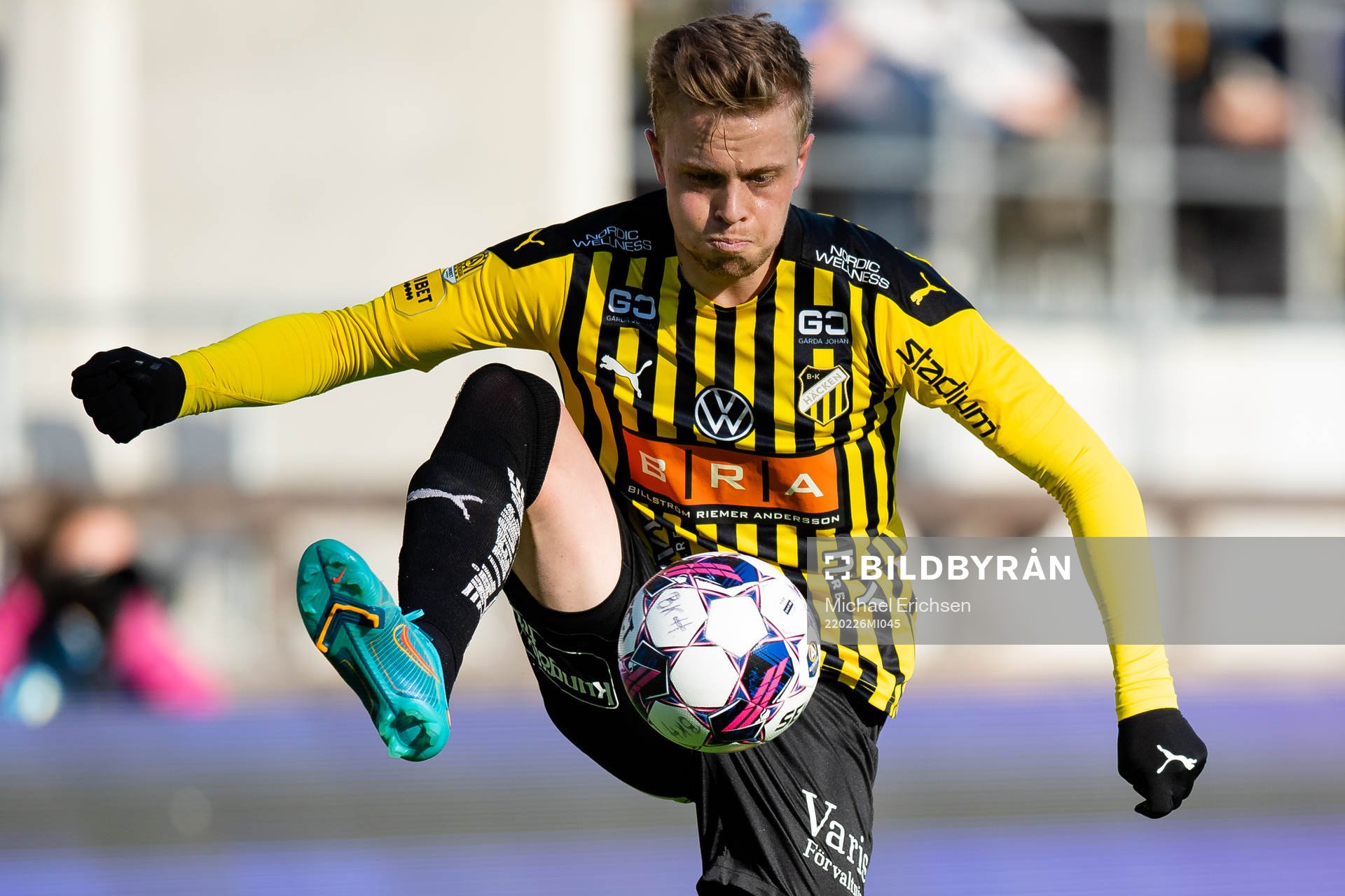 Häckens Tomas Totland
