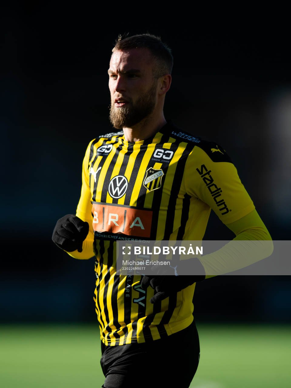 Häckens Alexander Faltsetas