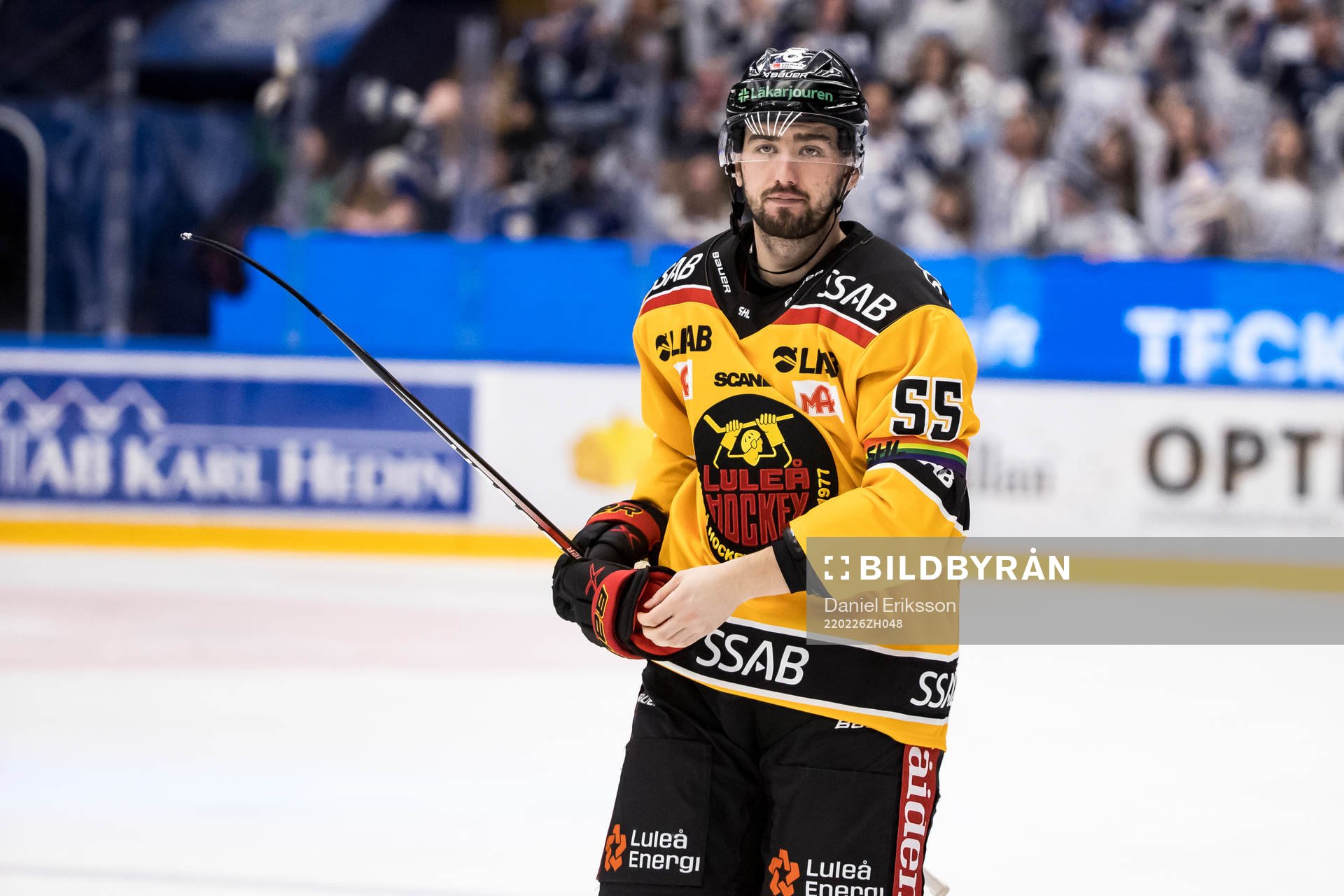 Luleås Vilmos Gallo