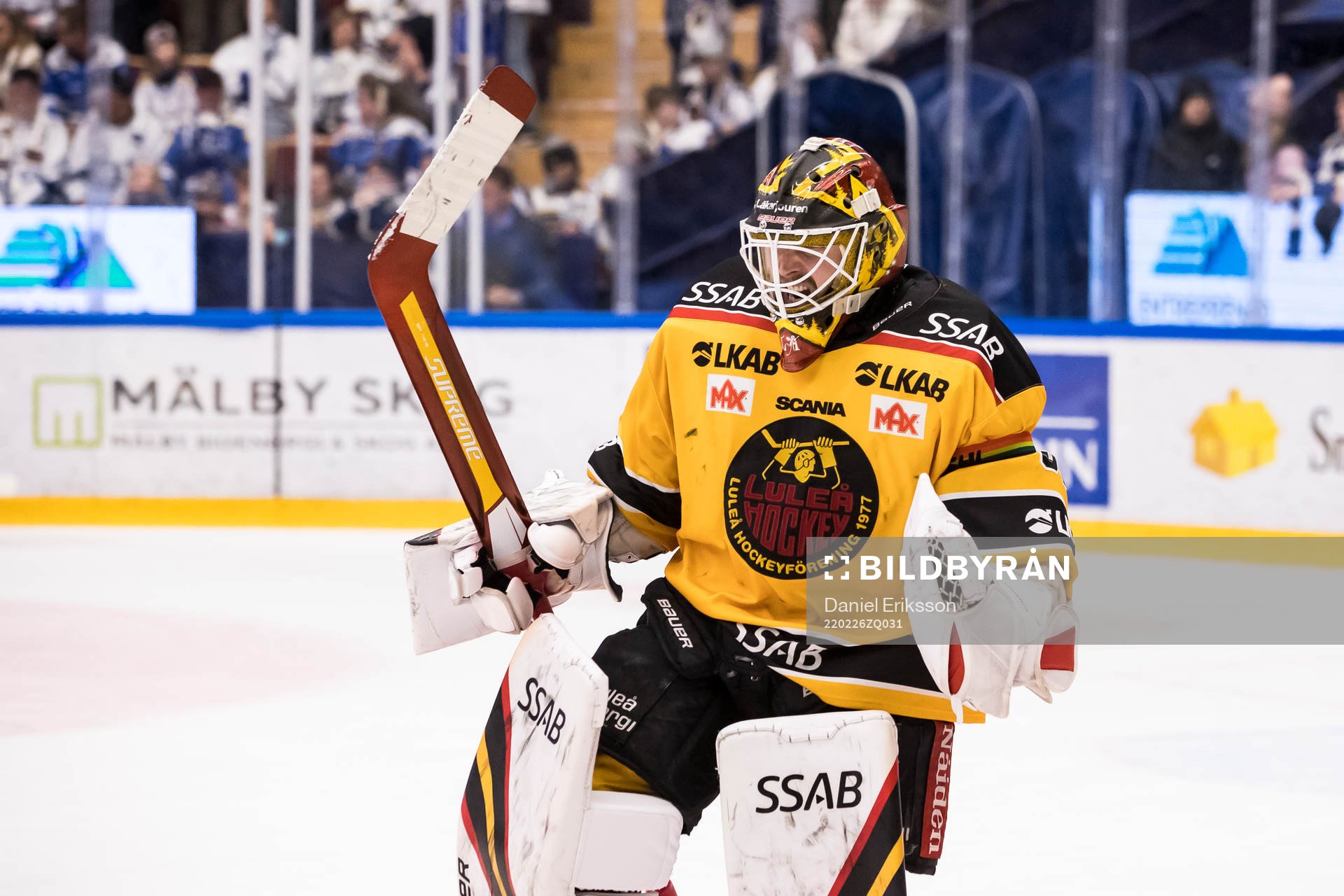 Luleås målvakt Joel Lassinantti jublar