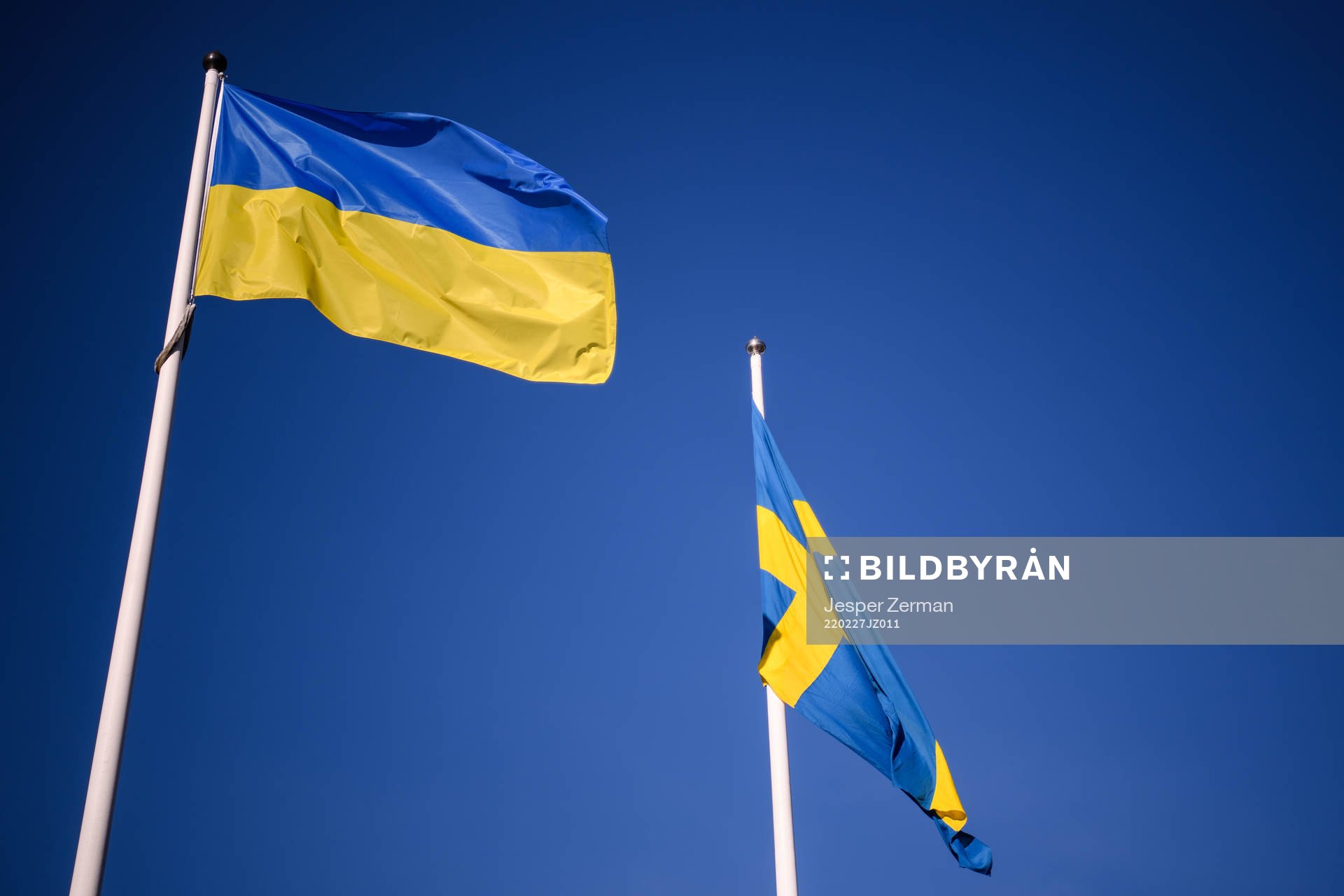 Den Ukrainska och Svenska flaggan