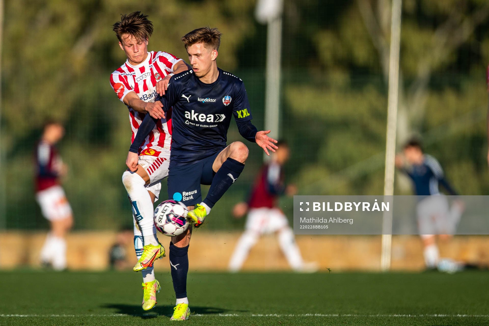 Lucas Lingman of Helsingborg