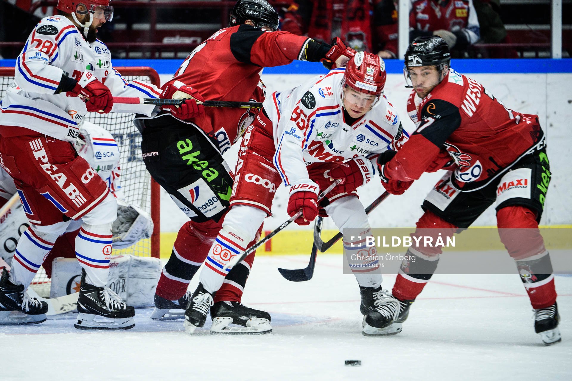Timrås Filip Westerlund och Malmö Redhawks Pathrik