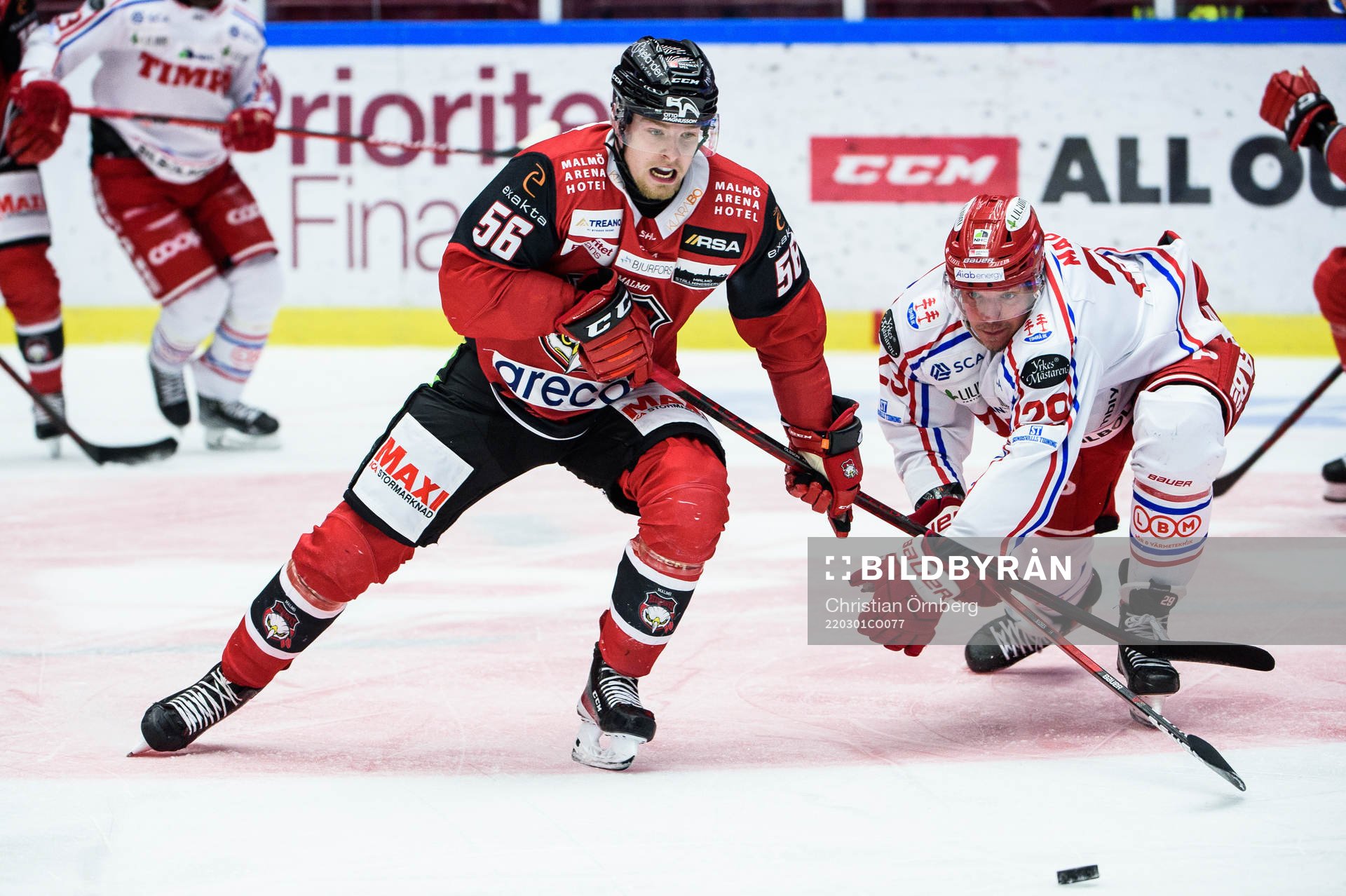Malmö Redhawks Anton Olsson och Timrås Morten Madsen