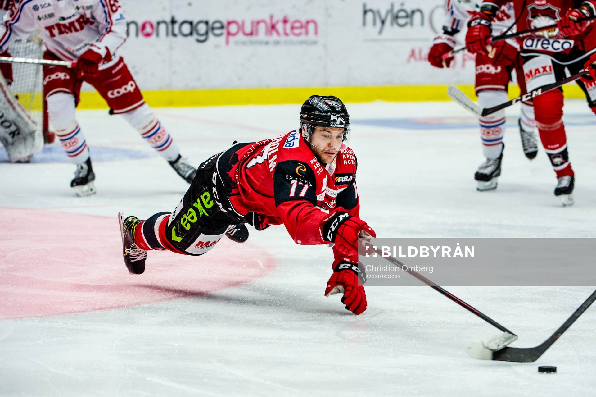 Malmö Redhawks Pathrik Westerholm