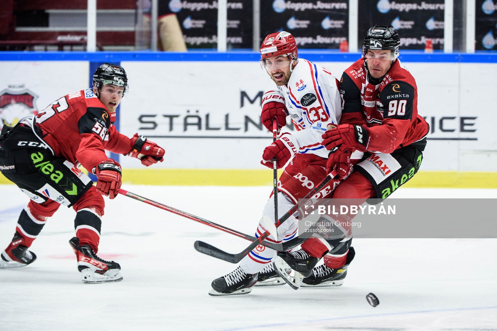 Timrås Albin Lundin och Malmö Redhawks Lance Bouma