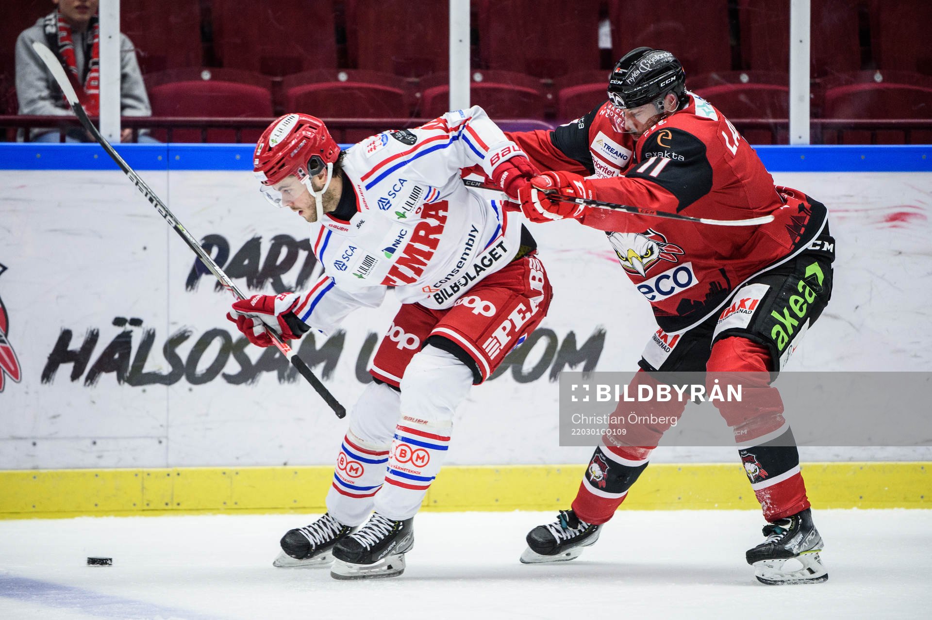 Timrås Pontus Åberg och Malmö Redhawks Markus Lauridsen