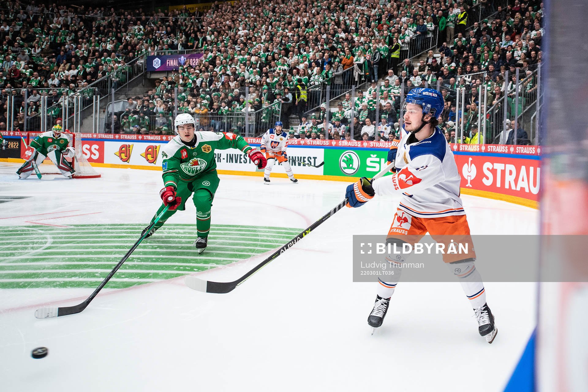 William Wallinder of Rögle and Kristian Tanus of Tappara