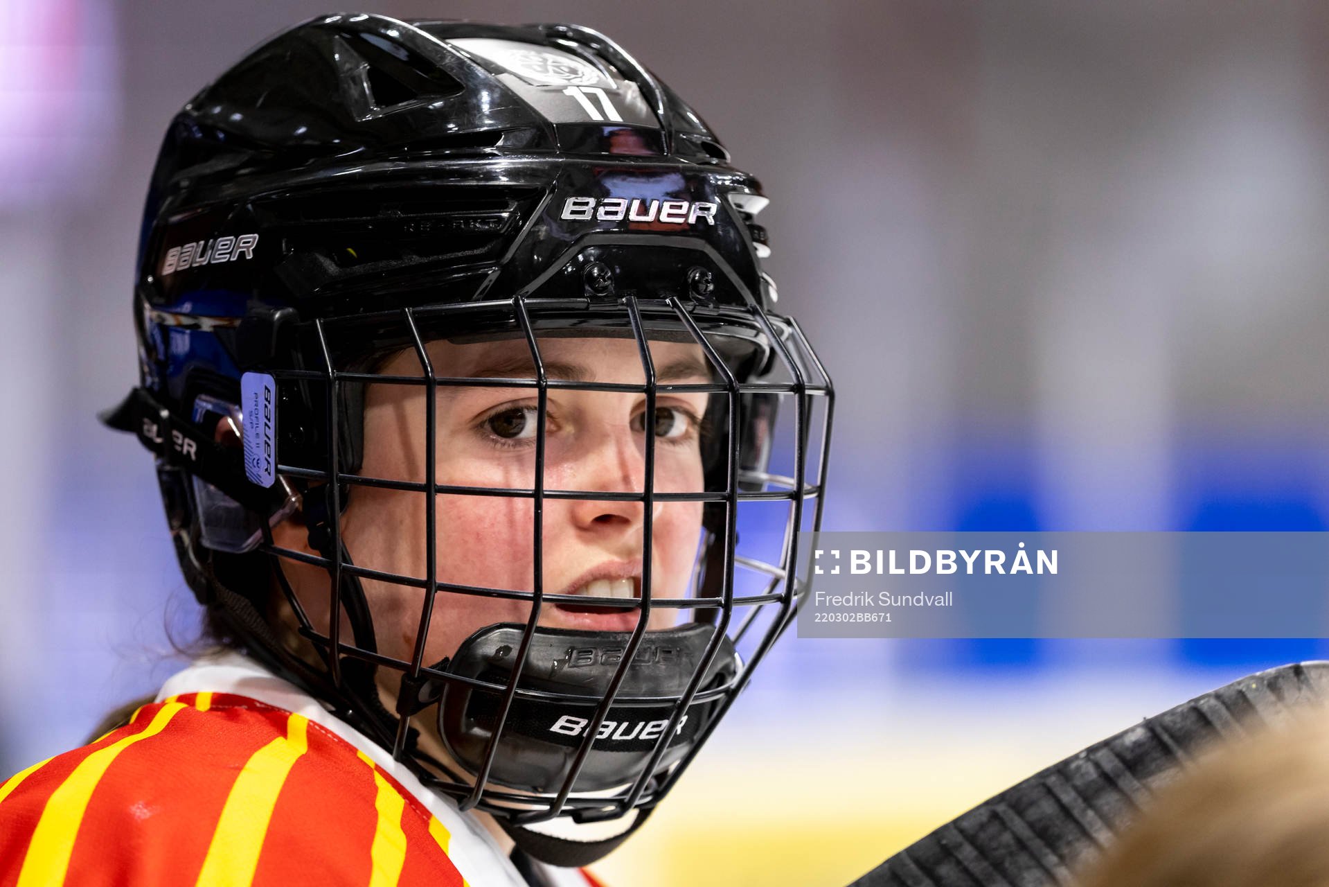Brynäs Jaycee Gebhard porträtt