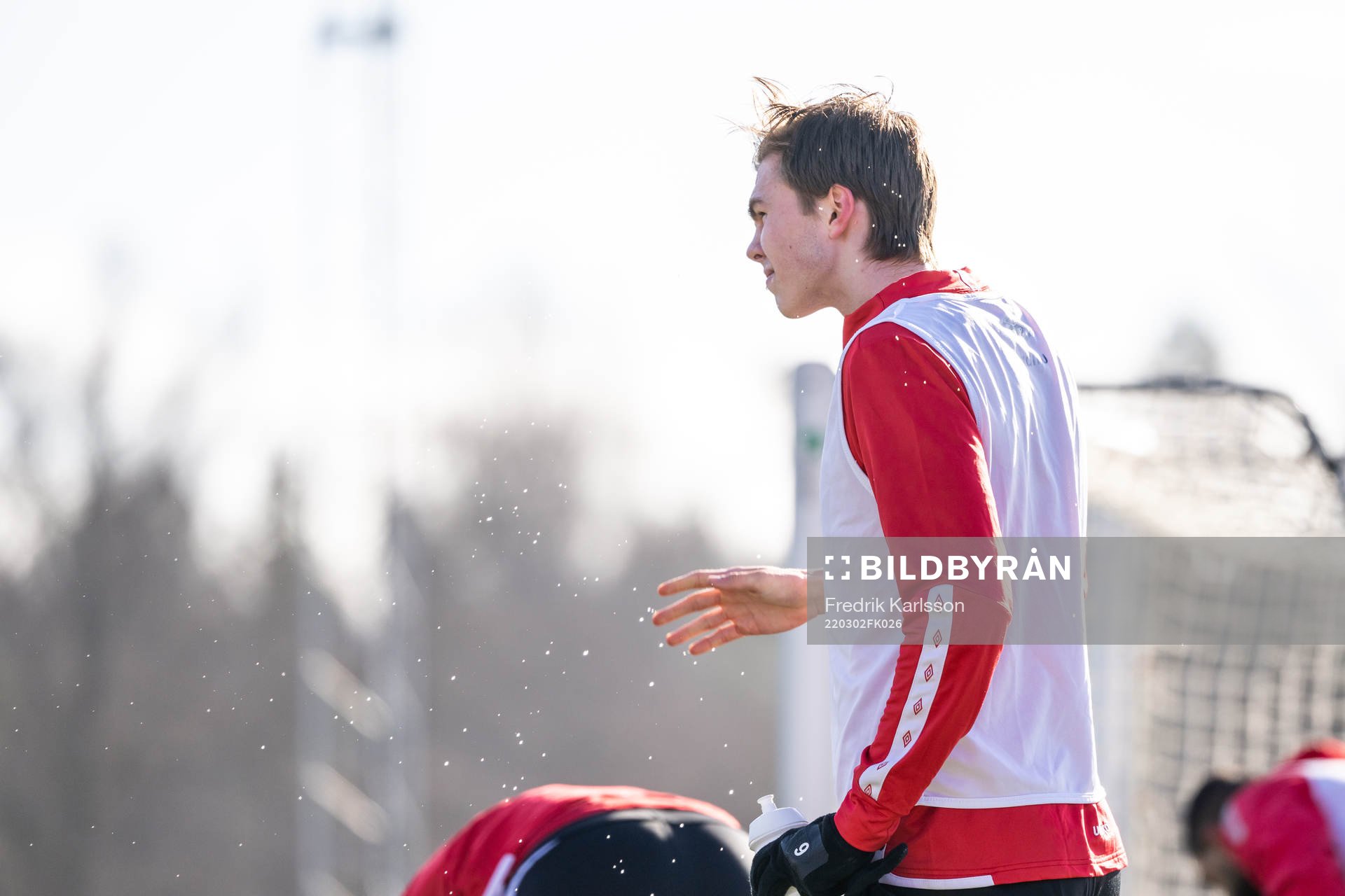 Oscar Wallin