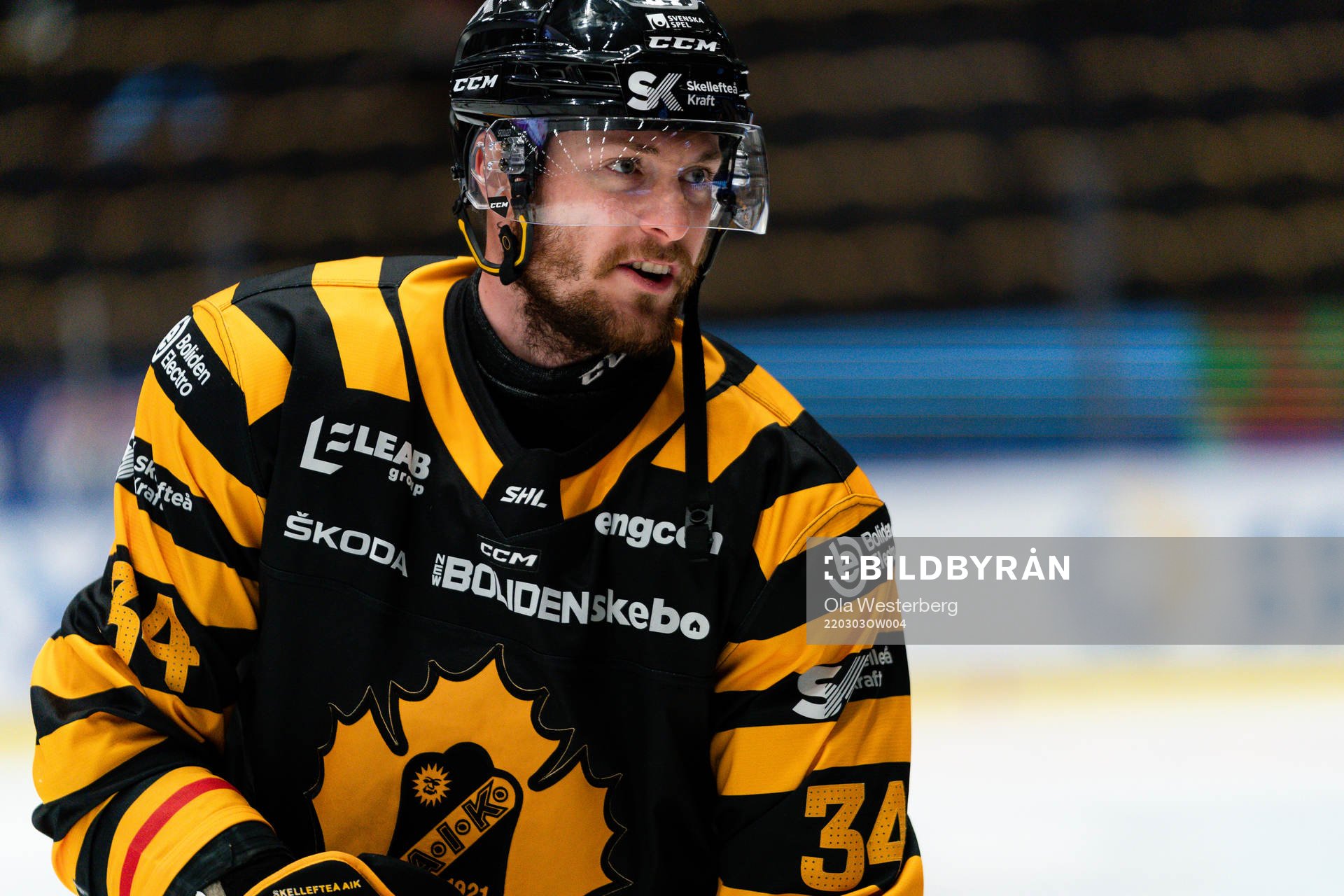 Skellefteås Tom Kühnhackl