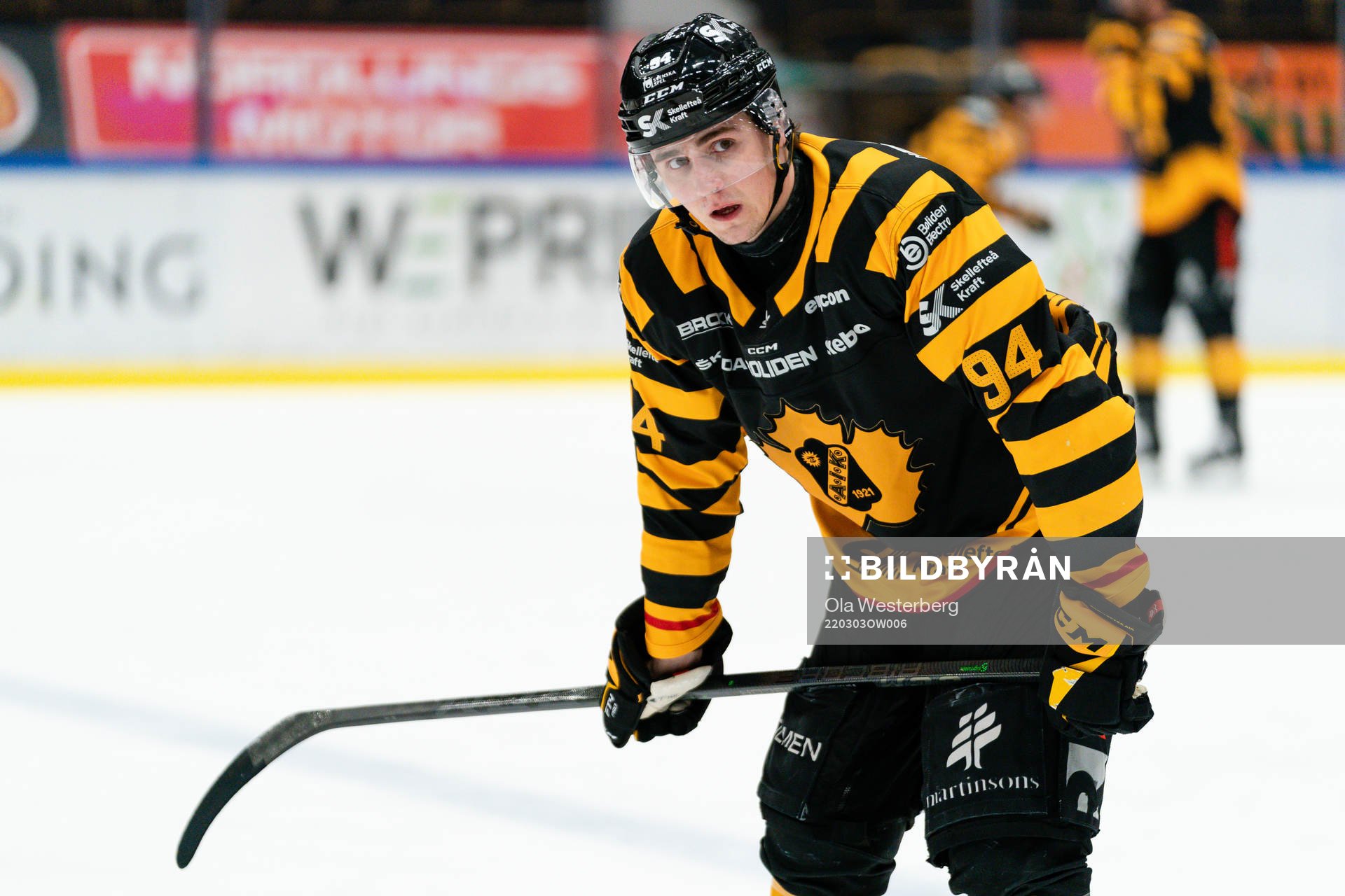 Skellefteås Linus Karlsson