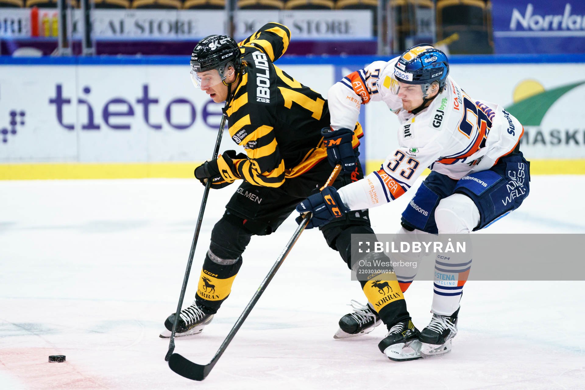 Skellefteås Filip Roos och Växjös Julius Nättinen