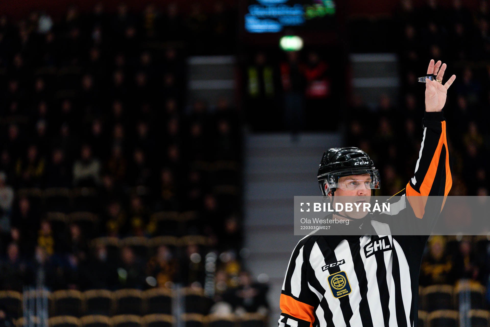 Domare Mikael Nord
