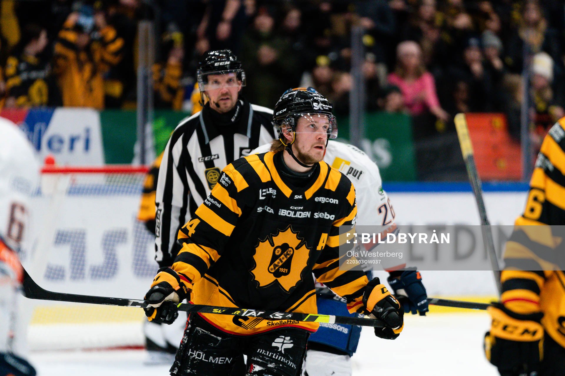 Skellefteås Jonathan Pudas