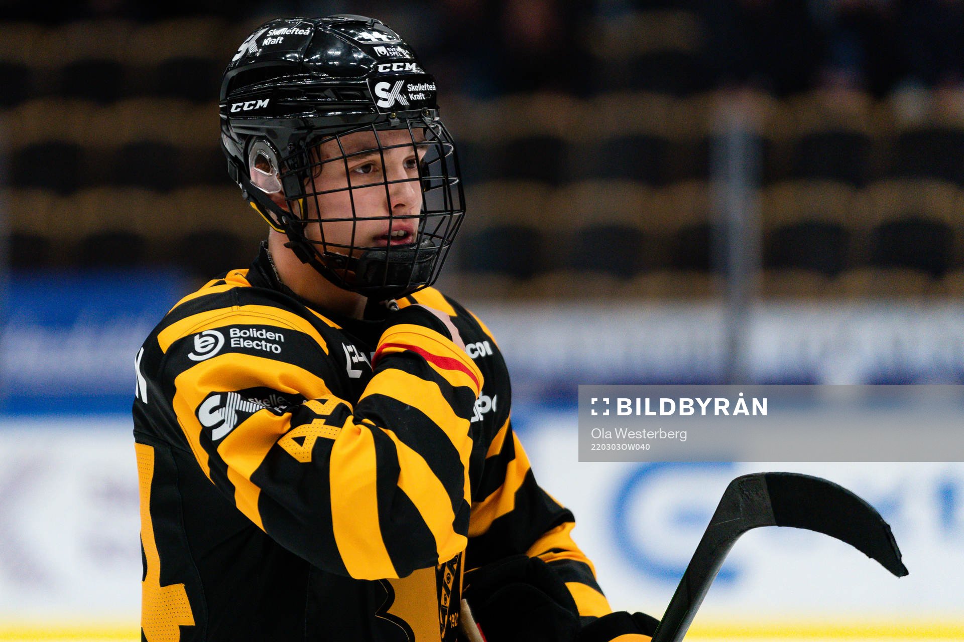 Skellefteås Elias Salomonsson