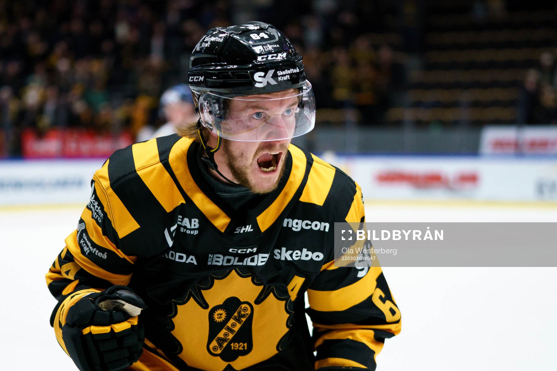 Skellefteås Jonathan Pudas jublar