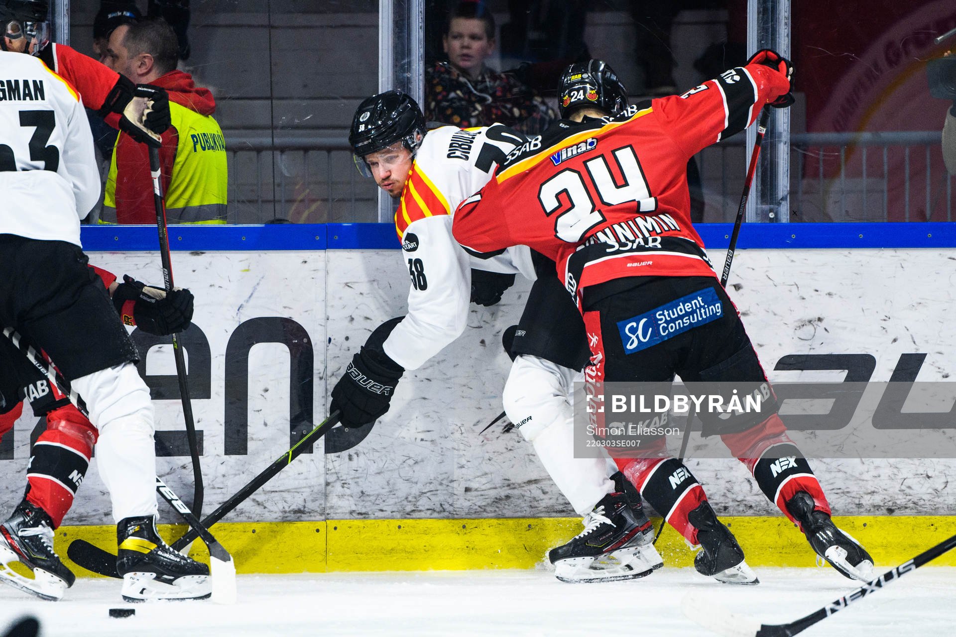 Brynäs Oskars Cibulskis