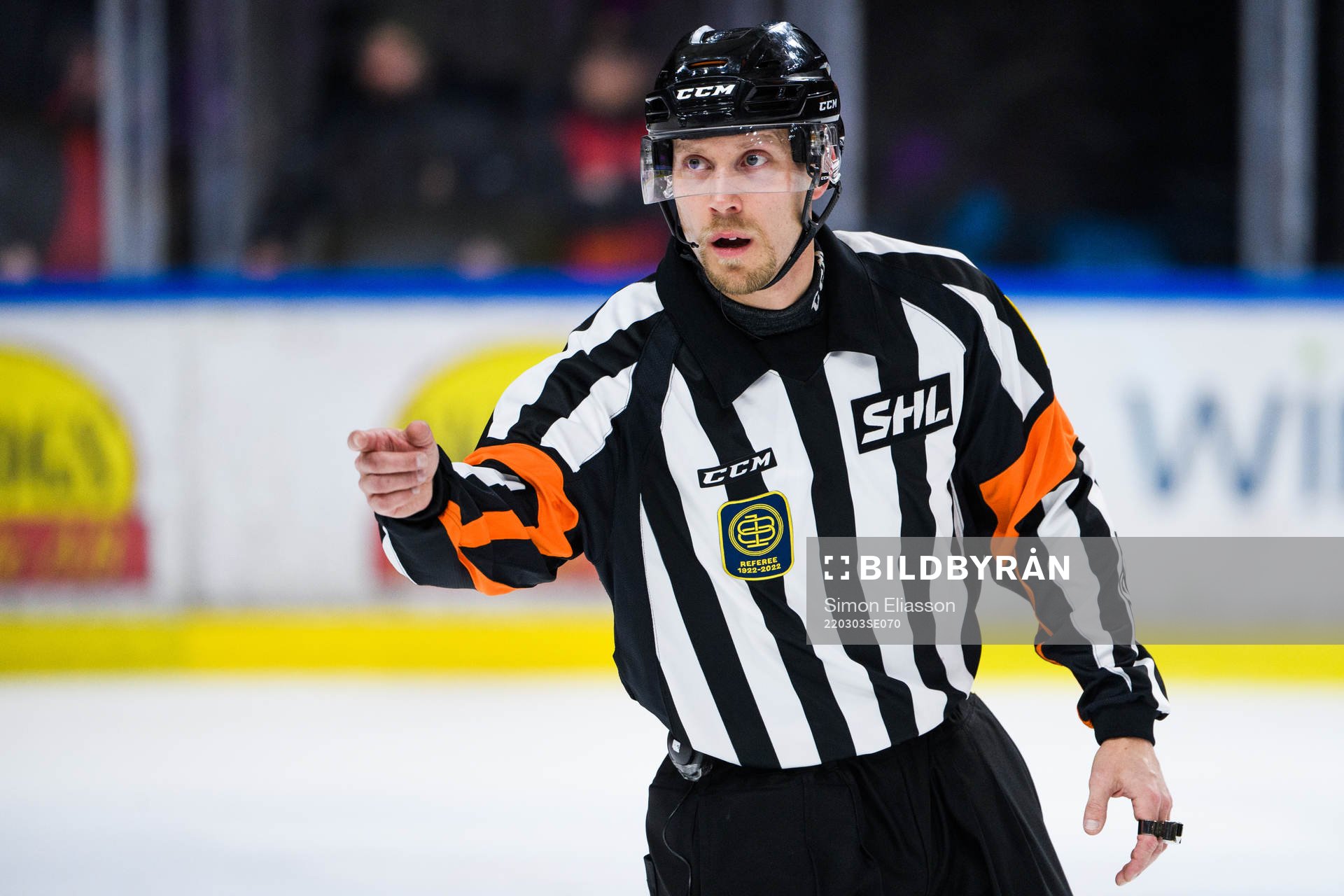 Domare Andreas Harnebring