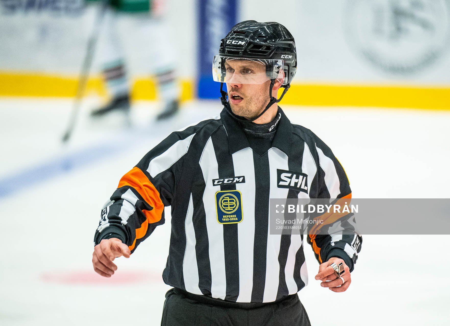 Domare Johan Magnusson