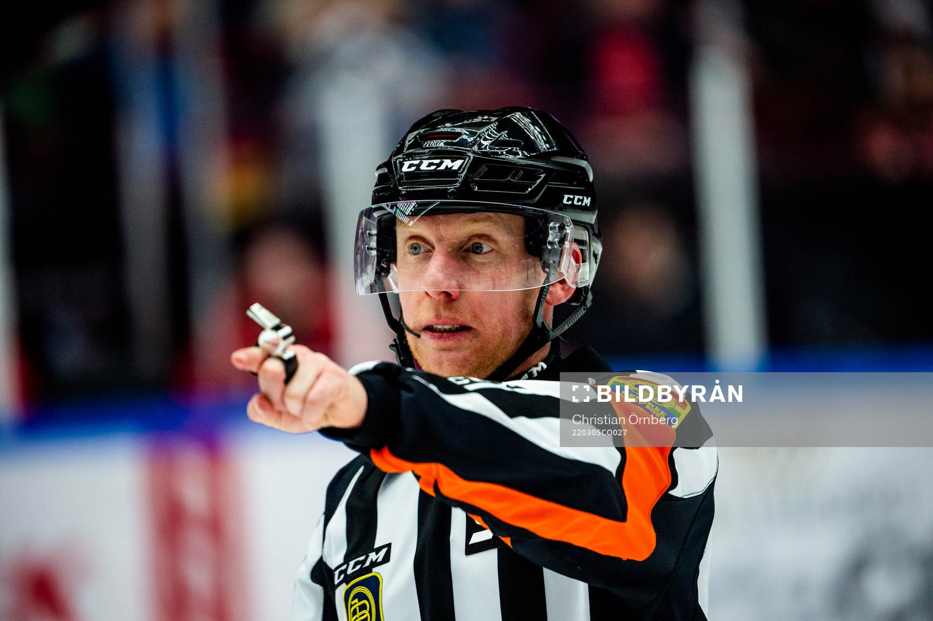Domare Mikael Holm