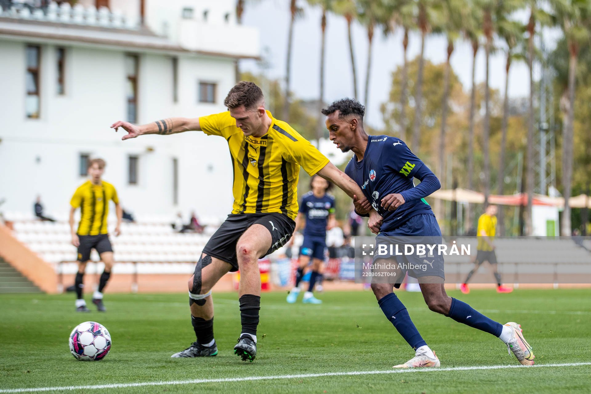 Taha Ali of Helsingborg