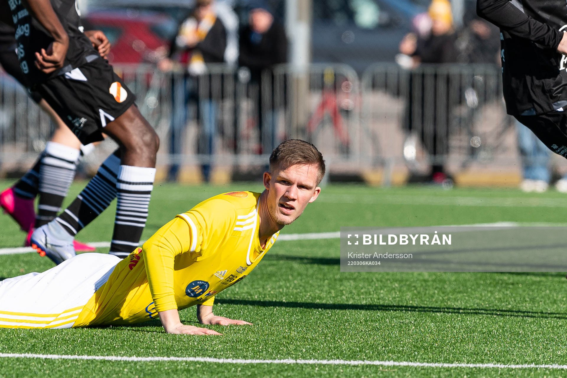 Falkenbergs Tim Stålheden