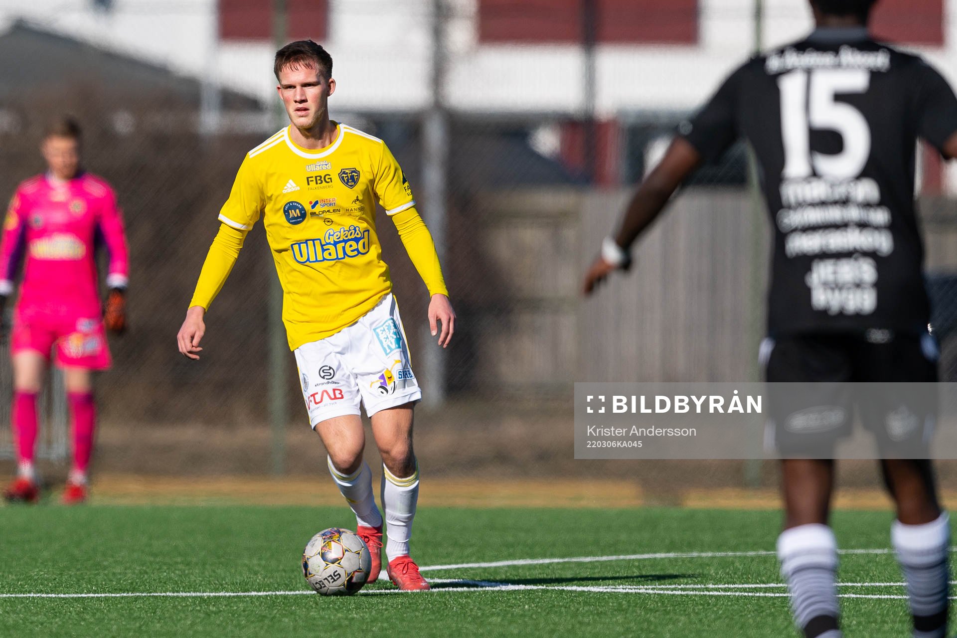Falkenbergs Tim Stålheden
