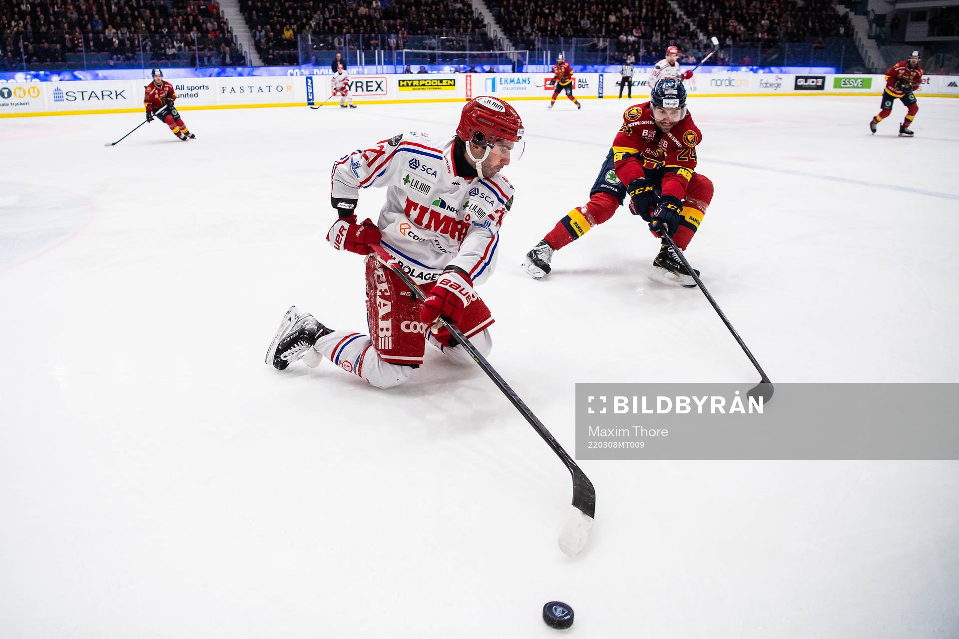 Timrås Joey LaLeggia och Djurgårdens Ludvig Rensfeldt